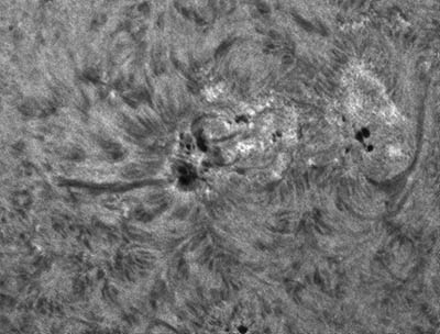 Velmi pěkná struktura chromosféry v aktivní oblasti NOAA 11787 snímaná dne 7. července 2013 v 16:58:27 UT. Kromě filamentů (tmavých "proužků" v aktivní oblasti) zde můžeme pozorovat také drobná zjasnění v chromosféře (světlejší místa vpravo mírně nahoru od největší skvrn ve skupině).  Foto: Hvězdárna Valašské Meziříčí