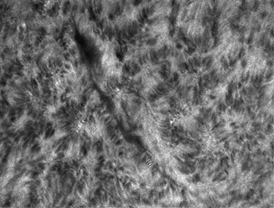 V průběhu měsíce se nám podařilo nasnímat i několik velmi pěkných filametnů - vodíkových oblaků ve spodní koroně, které mají podstatně nižší teplotu, ale vyšší hustotu než okolní řídká a horká koróna. Snímek zobrazuje filament ze dne 7. července 2013 v 11:12:08 UT. Foto: Hvězdárna Valašské Meziříčí