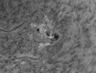 Snímek aktivní oblasti NOAA 12038 pořízený v čáře H-alfa ze dne 23. 4. 2014 v 08:00:05 UT. 