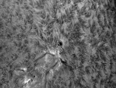 Jeden z nejvydařenějších snímků v chromosféry tohoto měsíce, aktivní oblast NOAA 12171. Ačkoli tato oblast nebyla příliš erupčně aktivní, mohli jsme v ní pozorovat stále měnící se filamenty (tmavé hadovité útvary, které jako by vylézaly z oblasti pod skvrnou). Na tomto snímku si také můžete všimnout, jak vypadají fibrily (vláknovité útvary) v aktivní oblasti, kde na ně působí silné magnetické pole a mimo tuto oblast, kde se zdají méně "rozcuchané". Snímek je ze dne 28. 9. 2014 v 08:08:28 UT.