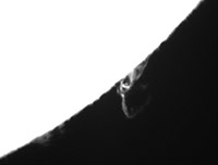 Západní okraj slunečního disku 1. května 2014 od 06:56 do 09:01 UT