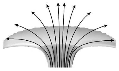 Obr. 5 – Tvar siločar magnetického pole v pravidelné sluneční skvrně.