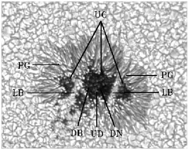 Obr. 6 – Základní prvky jemné struktury ve sluneční skvrně: UC - umbrální jádro (umbral core); PG - penumbrální zrno (penumbral grain); LB - světelný most (light bridge); DB - difúzní pozadí (diffuse background); UD - umbrální bod (umbral dot); DN - temné jadérko (dark nucleus).