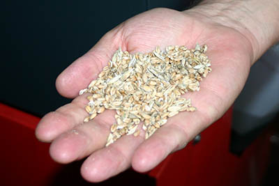 V určitých případech mohou být jako palivo využita i obilná zrna, která již není možné využit v potravinářské výrobě.